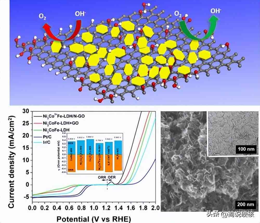 ai生物蛋白质预测实验报告怎么写：蛋白质生物学功能预测方法与实践