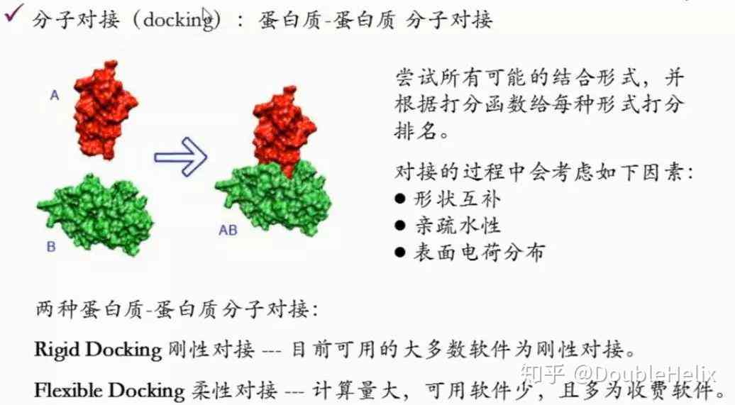 生物蛋白质结构与功能预测实验报告及总结：蛋白结构预测与验证探究