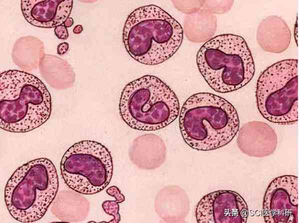 AI辅助生物蛋白质结构预测与功能分析综合实验研究报告