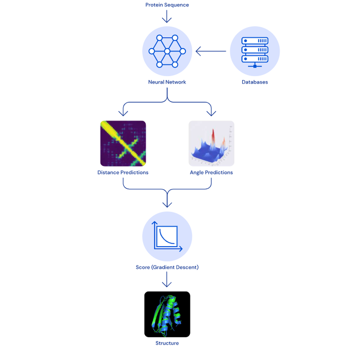 深入探索：从序列到功能——全面解析蛋白质生物学功能的预测方法与策略