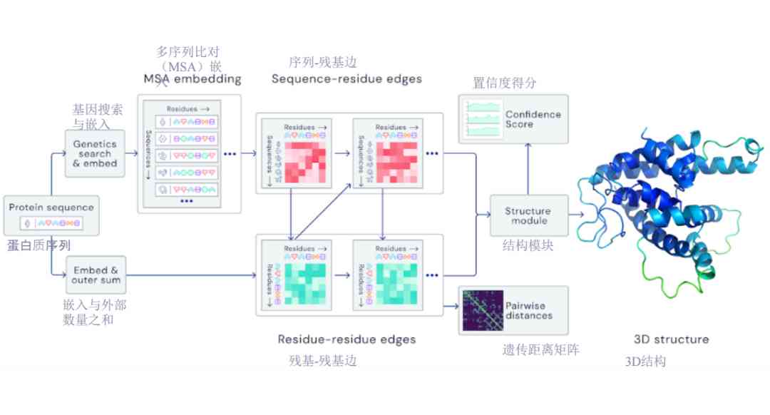 深入探索：从序列到功能——全面解析蛋白质生物学功能的预测方法与策略