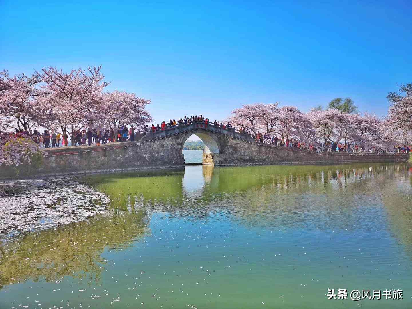 人工智能课程综合实验报告：涵实验设计、实与成果分析