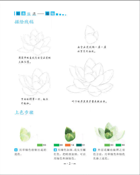 详解植物人物绘画技巧：从构思到上色全流程指南