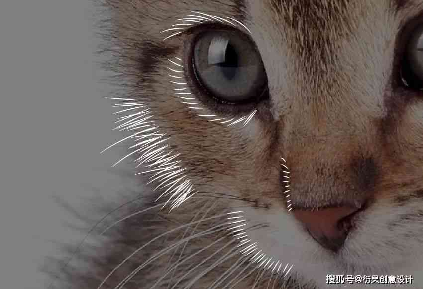 宠物猫AI绘画特效文案创作攻略：怎么打造独特视觉风格