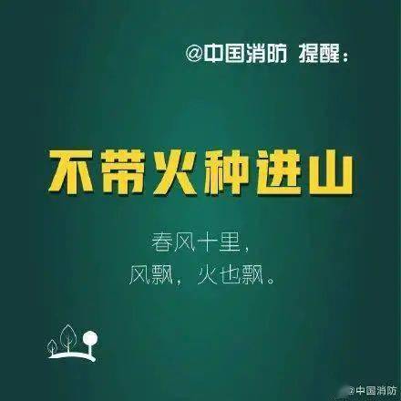 学生社会实践报告：全方位探讨防森林火灾策略与措