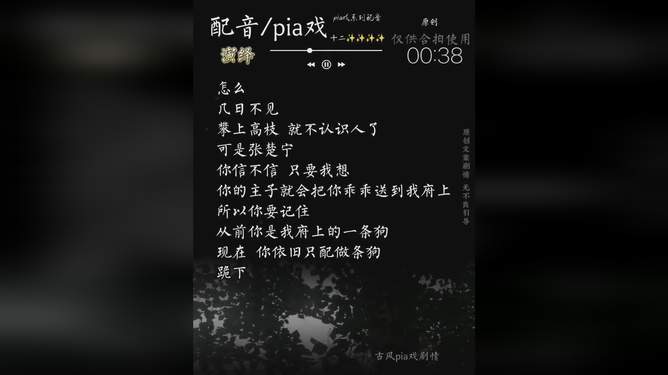 文库精选：适合配音的伤感文案集锦