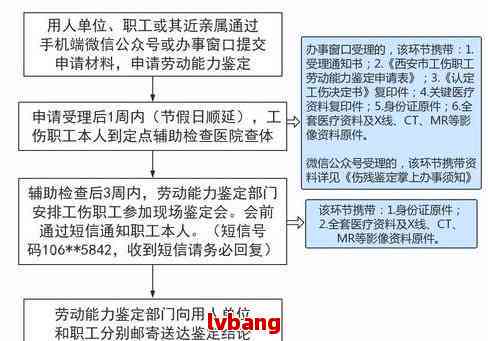 波市工伤鉴定中心联系电话及工伤鉴定相关流程指南