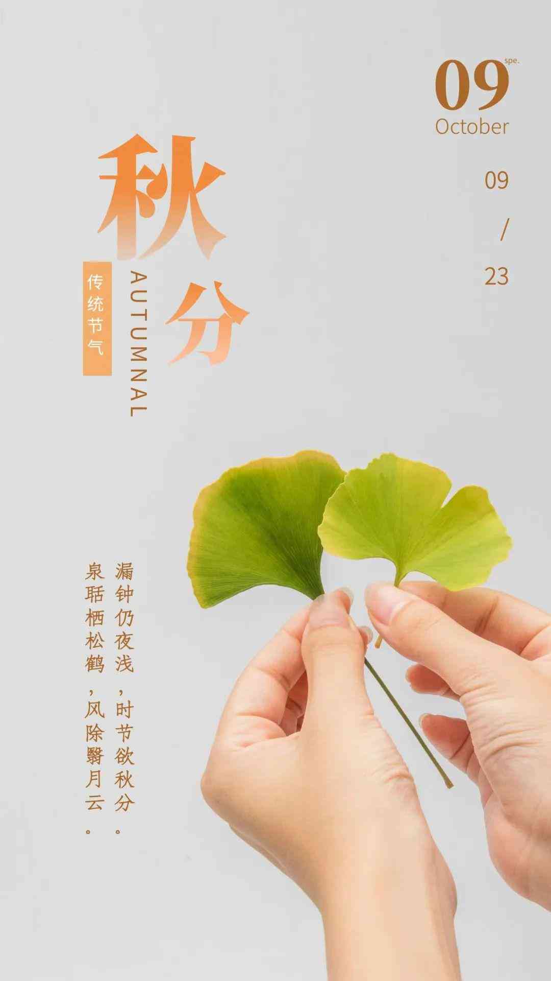 文案句子小众干净励志短句，柔简洁独特短语集锦