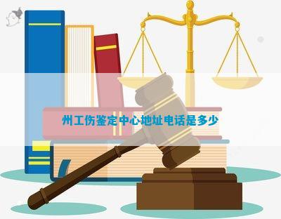 州上街区基层政务公开：工伤认定地址查询指南及所在位置在哪