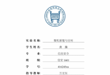 影像生成技术实验报告撰写指南：如何进行实验总结与报告编写