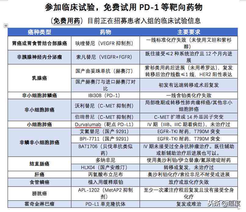 市场预测报告表格：制作指南与写作模板