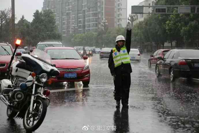 城市交通中的暖瞬间：马路上的爱心故事与启示