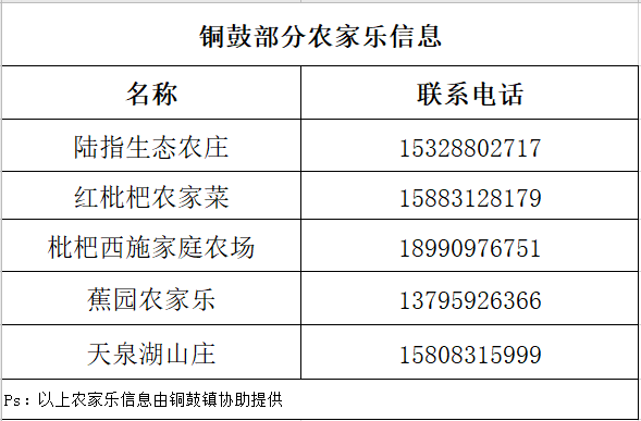 山市滦县工伤认定地址在哪：查询详细地址指南