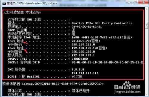 脚本提取gds：IPv6前缀、游戏模型与数据综合提取工具