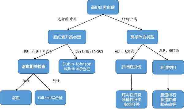 AI动物识别技术全面解析：从识别原理到应用前景的深度报告解读