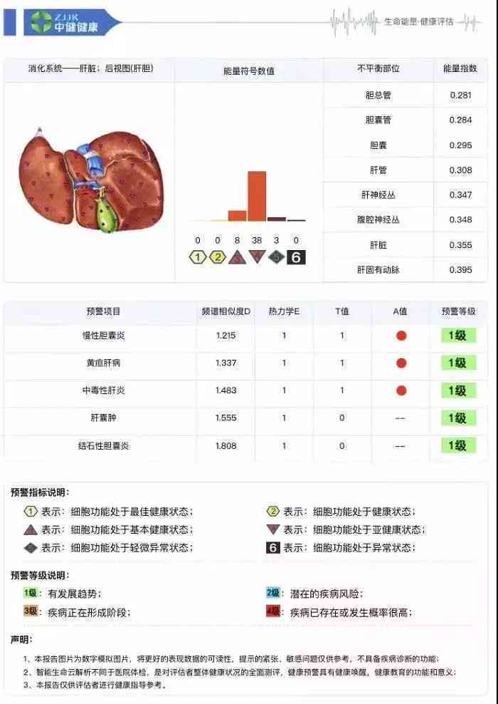 松鼠AI大体检报告：快检检测与AIDL测试解读及报告出时间概述