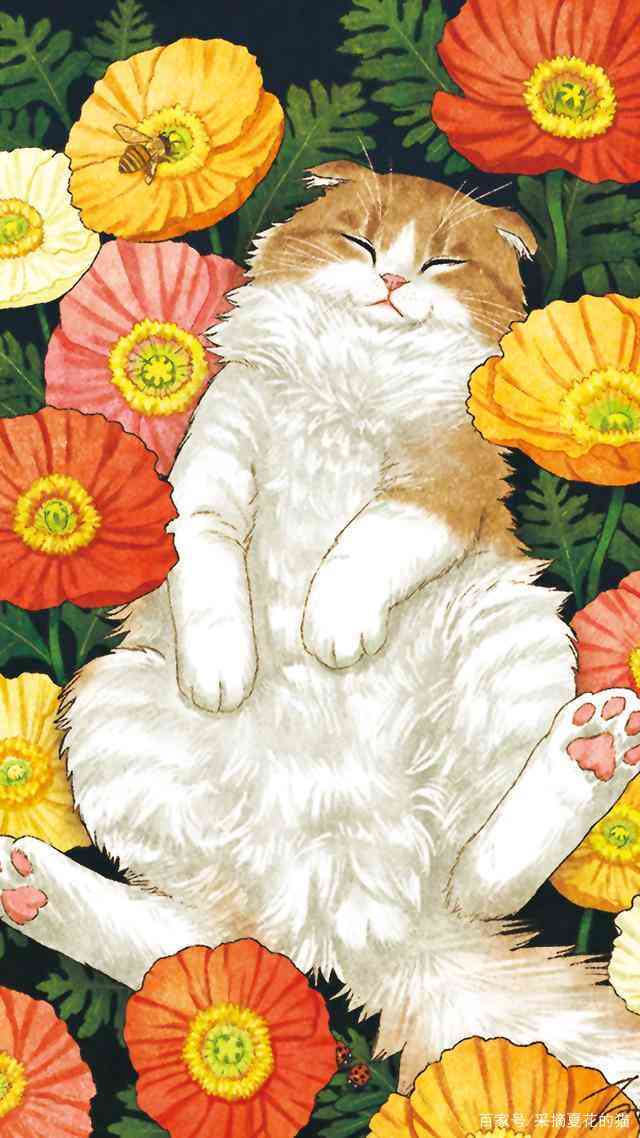 馨猫咪集：触动心灵的感人故事与插画精选