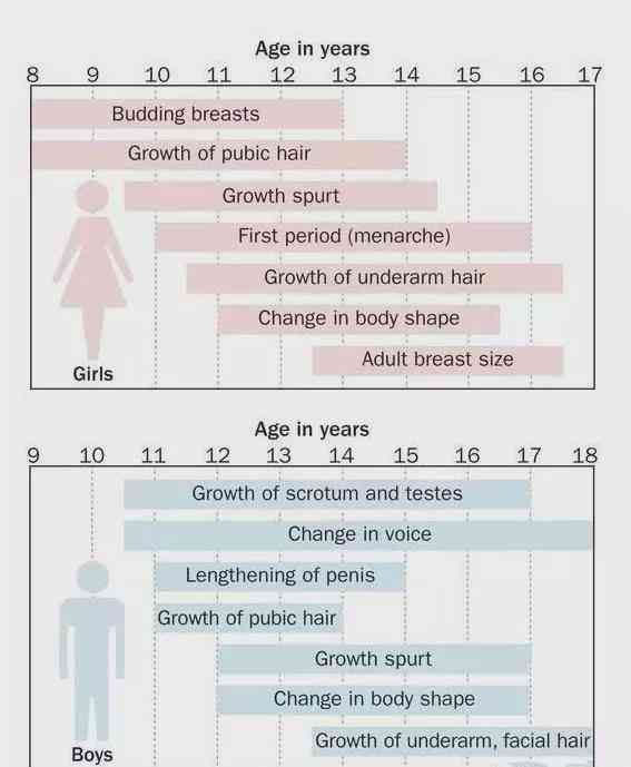 AI描绘女性生命历程：从出生到暮年，全方位解读女性成长故事