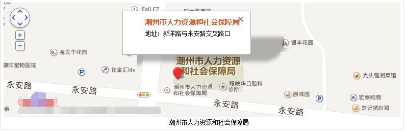 桃园三巷及周边区域人力资源社会保障局联系方式与咨询服务指南