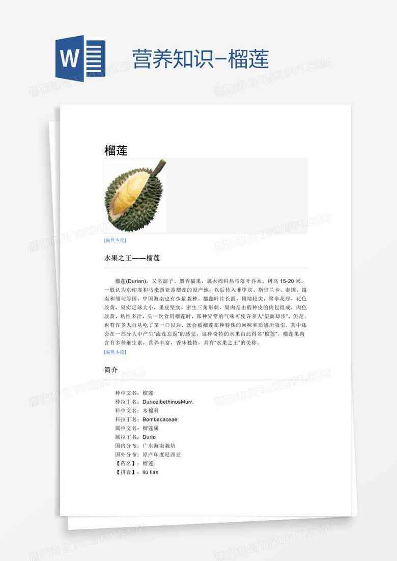 ai文件怎么打开榴莲文案模板与使用方法