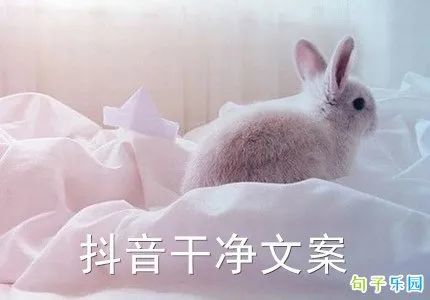 抖音文案短句干净治愈爱情：唯美柔爱情短句