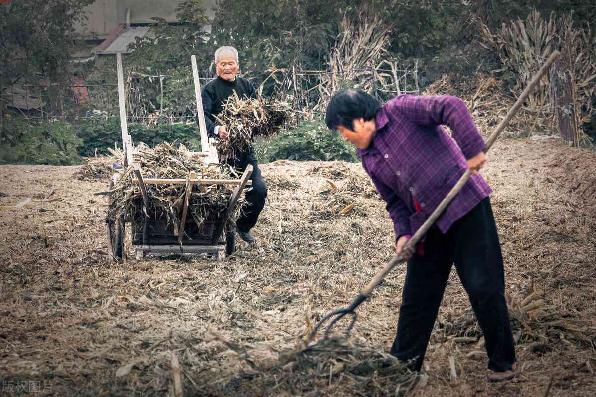 东莞工伤鉴定中心联系方式、地址及工伤鉴定流程详解