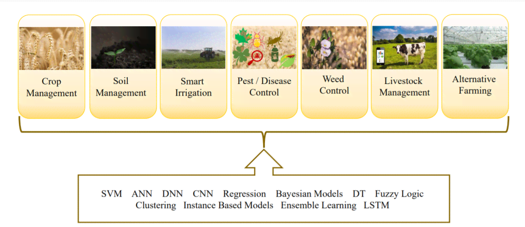 AI精准肥技术全面应用解析：实验报告与农田效益提升策略研究