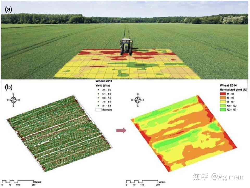 AI精准肥技术全面应用解析：实验报告与农田效益提升策略研究