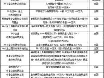 专业撰写各类报告服务专家：涵商业、学术、项目报告全方位解决方案