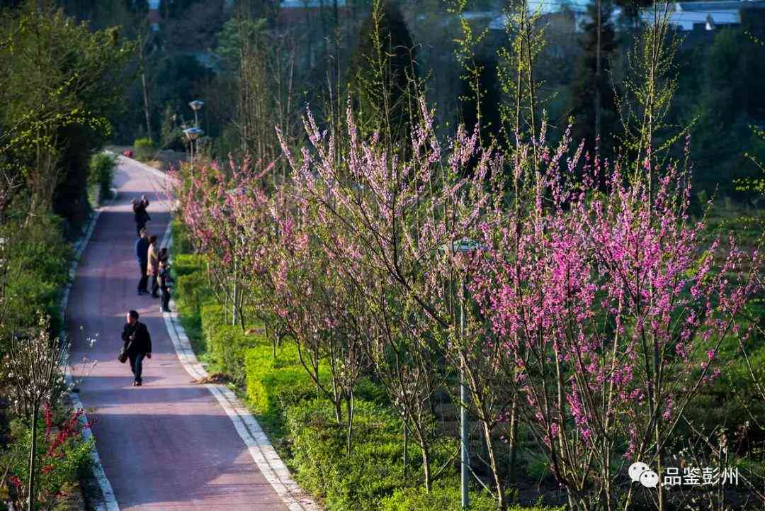 宝山区工伤认定中心