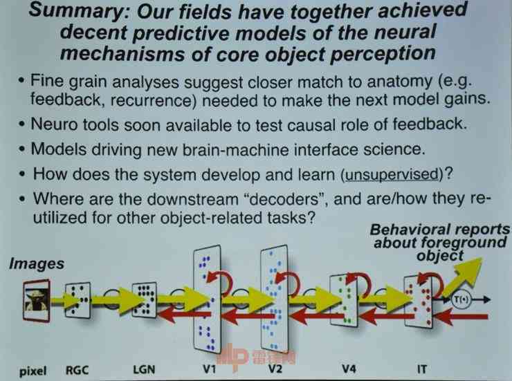 深入解析神经网络：跨学科视角下的神经科学论文研究综述