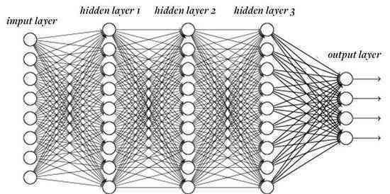 深入解析神经网络：跨学科视角下的神经科学论文研究综述