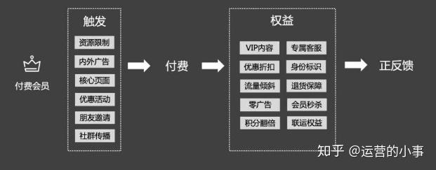 探秘写作猫会员制：写作工具的收费与免费模式对比分析