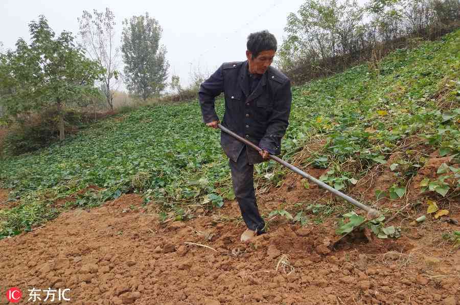 平顶山工伤认定中心地址