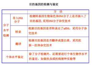 开县权威伤残鉴定机构及流程指南：全方位解析伤残等级评定与相关政策