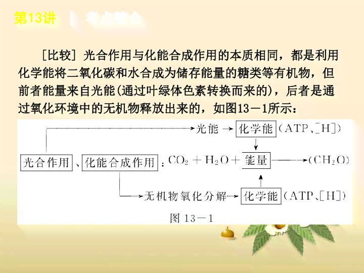 掌握故事型文案撰写技巧：深度解析如何用文案高效讲述吸引人的故事