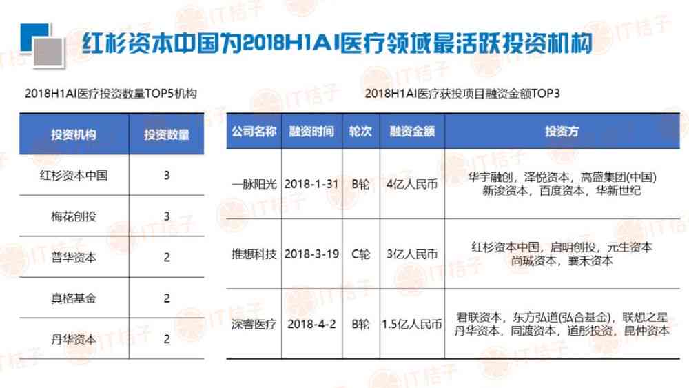 ai查验报告