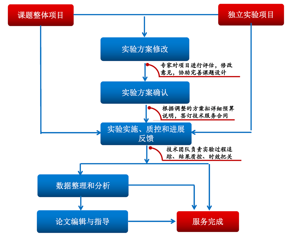 全方位学术研究助手：从开题报告到论文完稿一站式服务指南