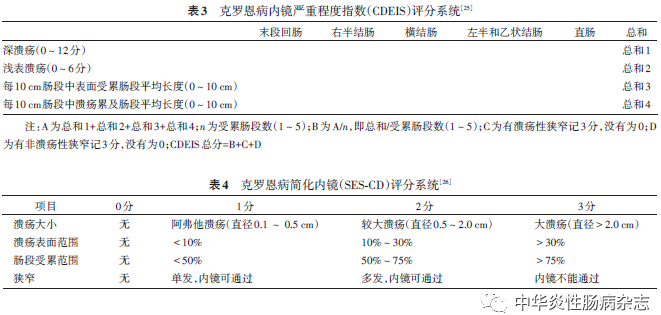 全面牙科检查报告：诊断、治疗建议与口腔健指南