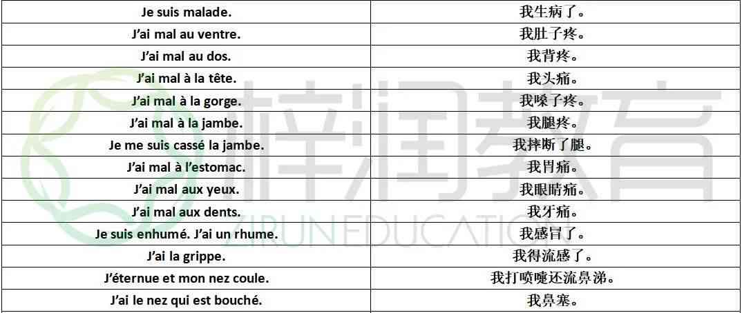 牙医病例软件：推荐高效率牙科病例管理工具及表格应用