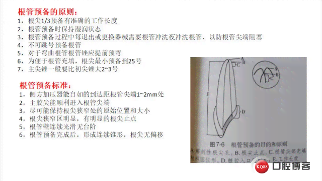 牙医病例软件：推荐高效率牙科病例管理工具及表格应用