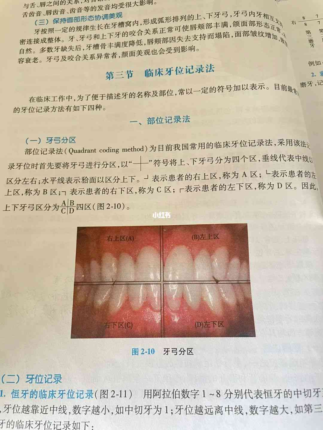 口腔健记录：牙医专业牙齿诊疗日志