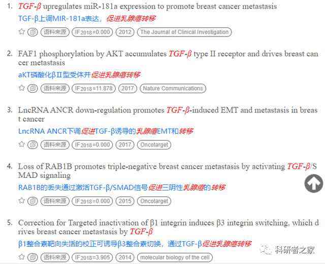 AI写作助手：解锁高级功能，解决所有写作难题