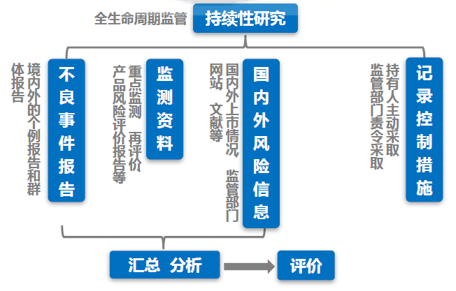 详尽指南：如何撰写完整的风险评估报告及其关键步骤解析