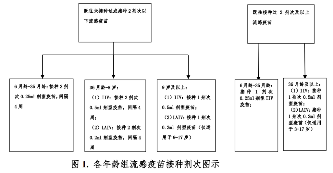 漯河工伤认定中心联系电话及工伤认定流程指南