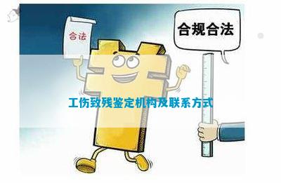 牡丹区权威伤残鉴定机构一览：全面指南与联系方式收录