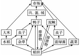 脱口秀脚本：撰写技巧、大纲构建、一分脚本形式全解析