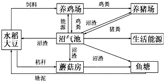 脱口秀脚本：撰写技巧、大纲构建、一分脚本形式全解析