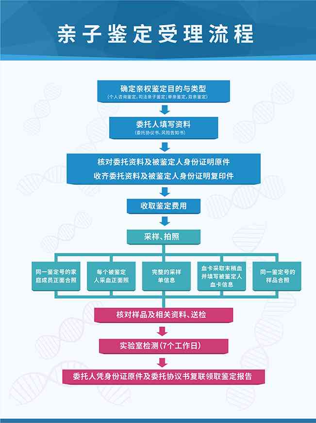 米东区司法鉴定中心全面服务指南：权威鉴定流程、常见问题解答与联系方式