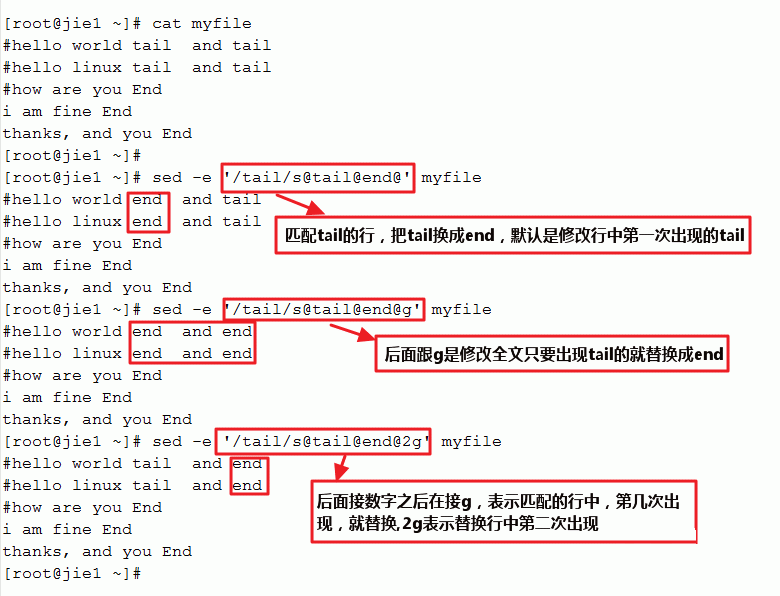 ai扩展作用：功能、使用工具、命令操作全解析